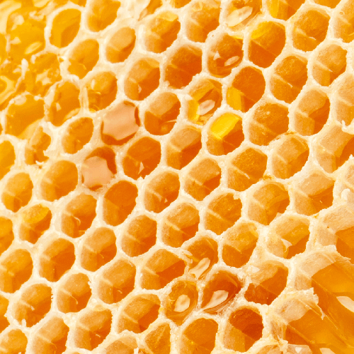 Beeswax