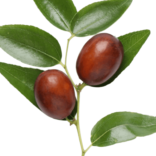 Jojoba Oil