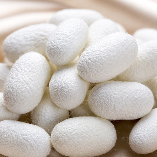 Silk Peptide