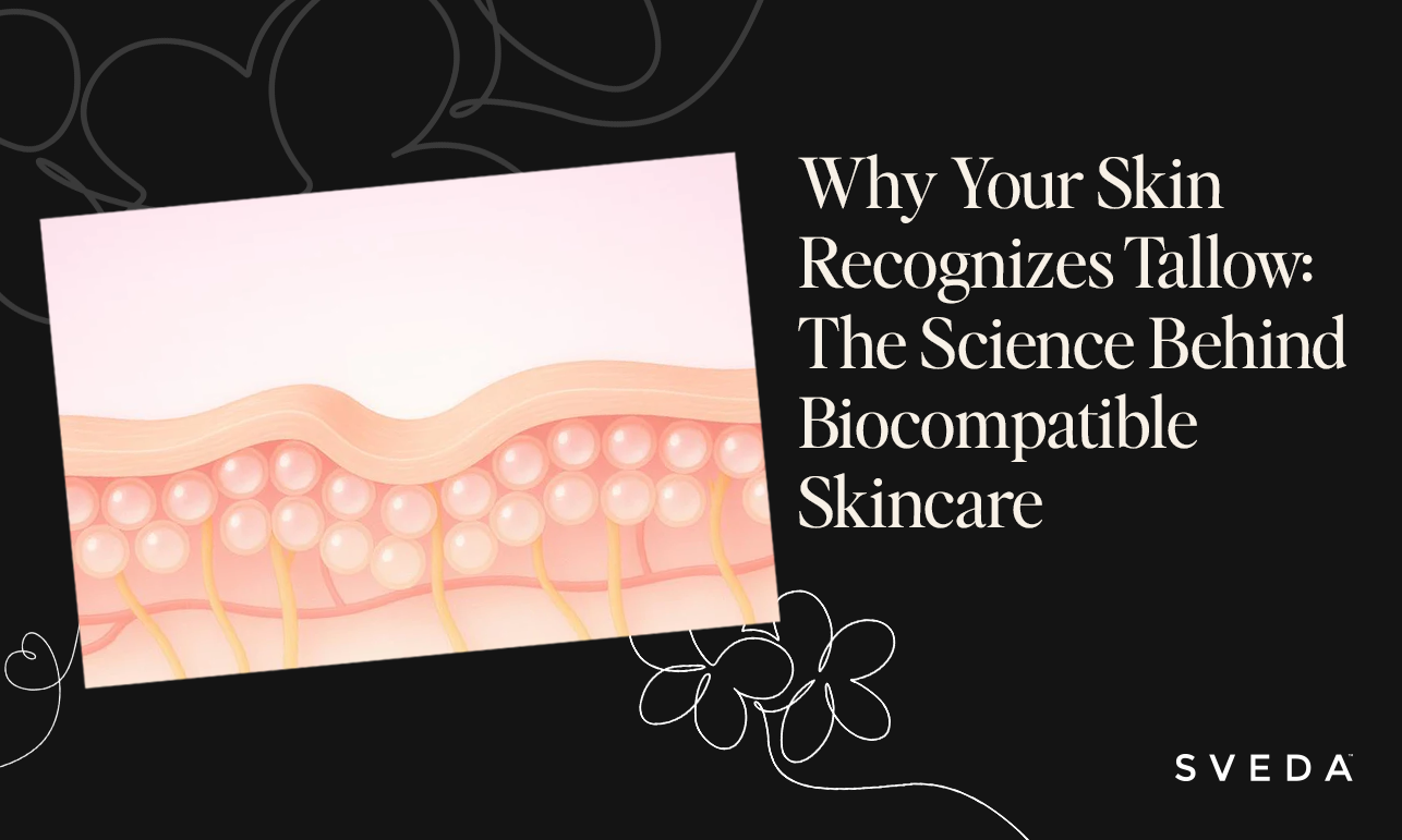 Why Your Skin Recognizes Tallow: The Science Behind Biocompatible Skincare