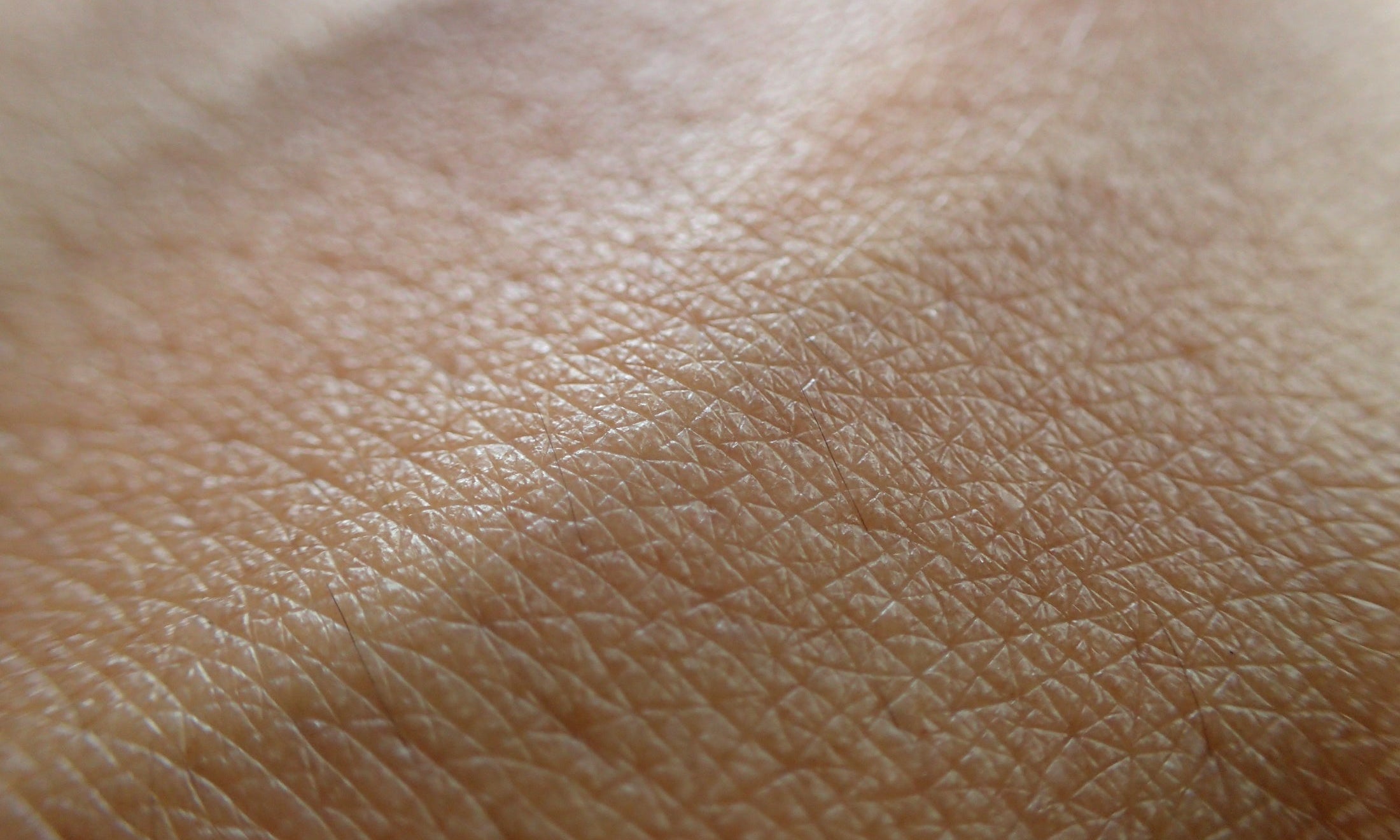 Close-up of healthy, glowing skin representing natural skin barrier care and moisture retention