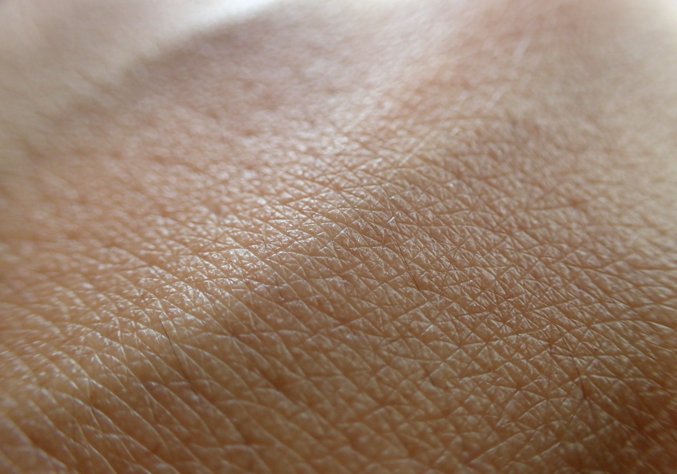 Close-up of healthy, glowing skin representing natural skin barrier care and moisture retention