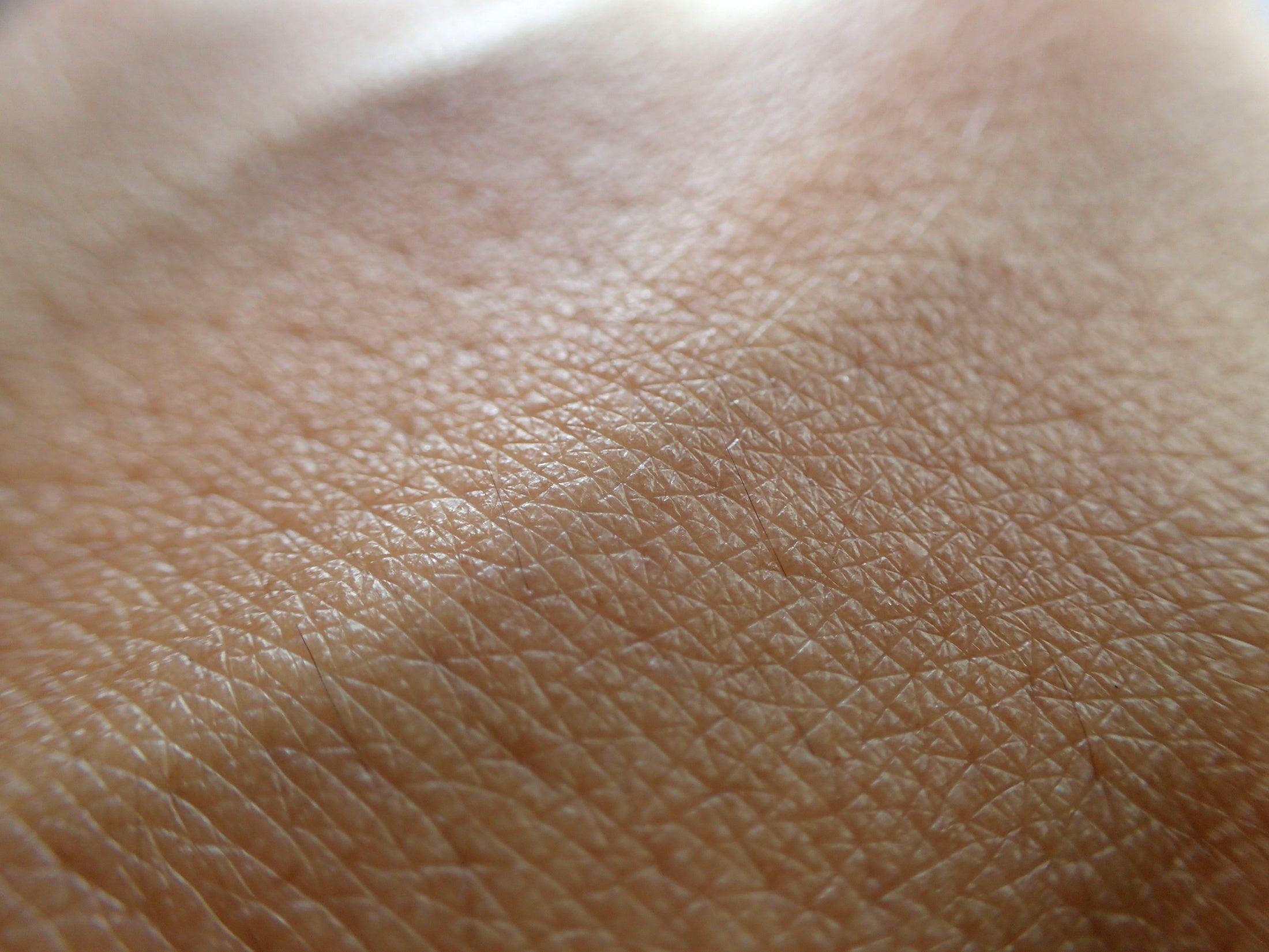 Close-up of healthy, glowing skin representing natural skin barrier care and moisture retention