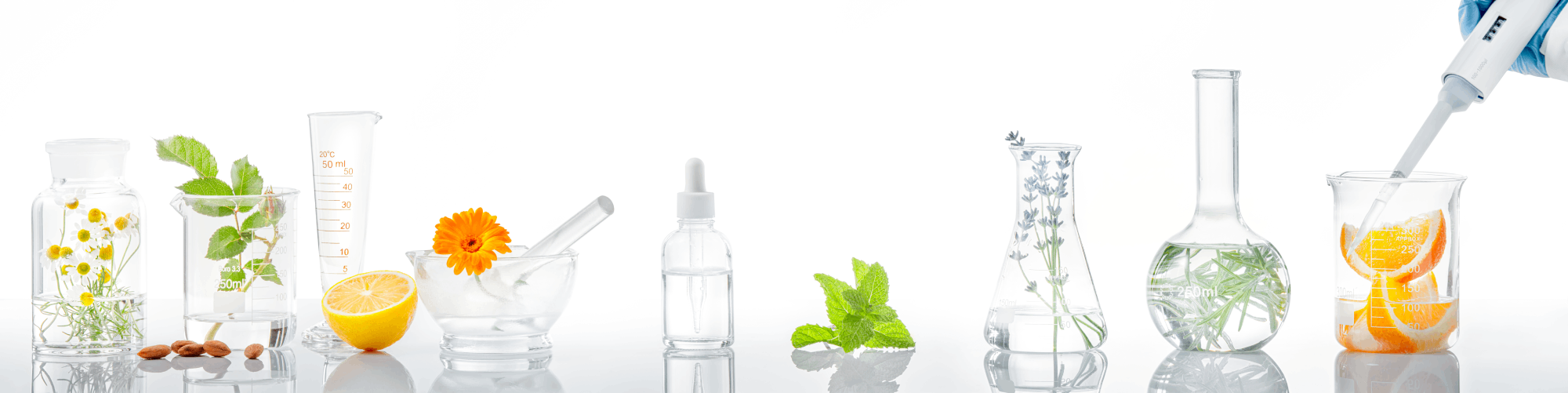 Ingredient-Glossary-Header.png